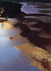 Reflections in Pool, Indian Creek, Escalante River, September 22, 1965