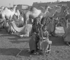 Young Man and Boy in the Camel Market, Egypt, circa 1990